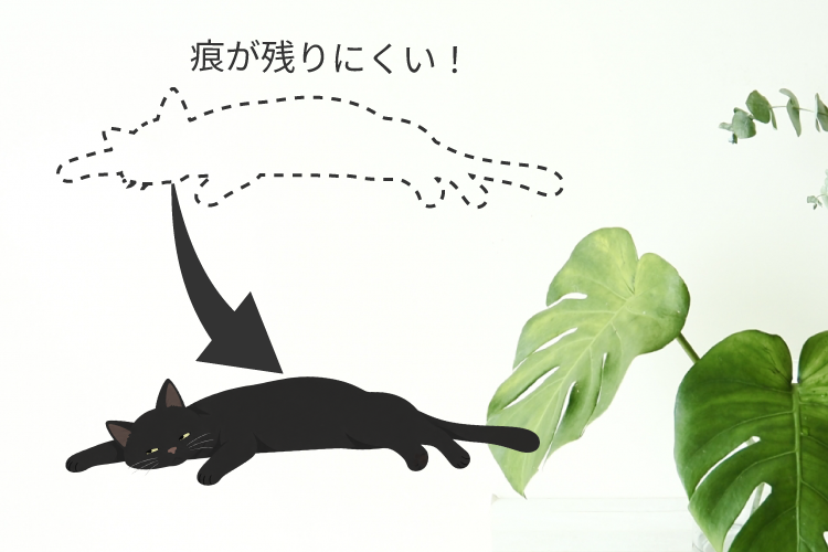 ウォールステッカーにしたいデザインデータを用意