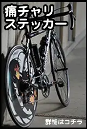 �˥����ۥ����륫�С����ƥå���